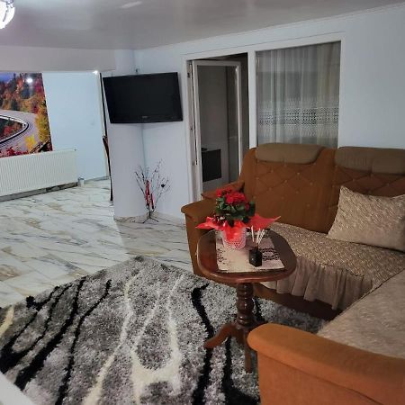 Apartament Cu Terasa Si Gratar Satu Mare Exterior foto