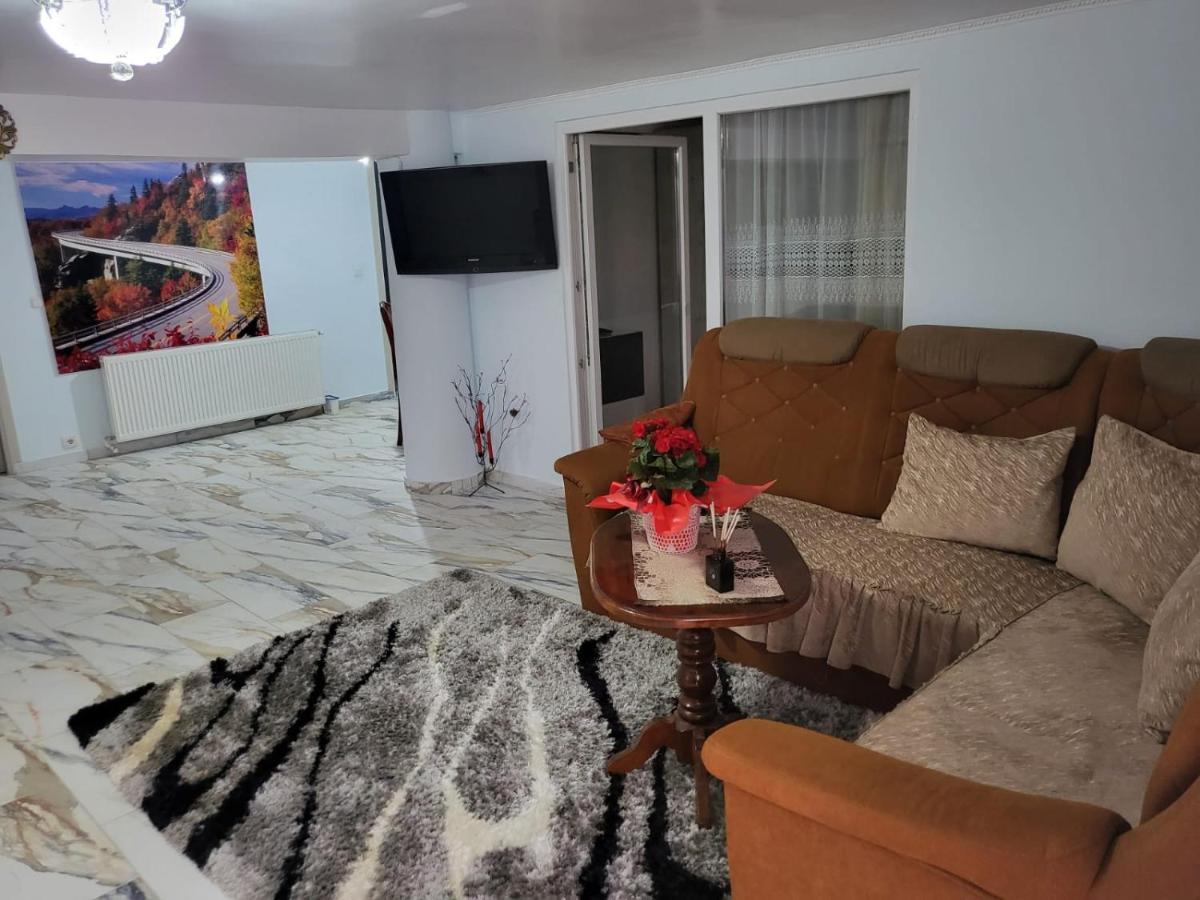 Apartament Cu Terasa Si Gratar Satu Mare Exterior foto
