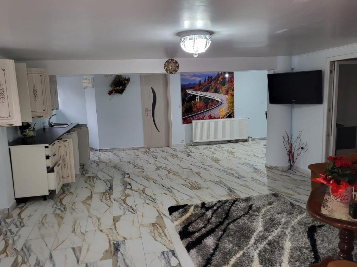 Apartament Cu Terasa Si Gratar Satu Mare Exterior foto