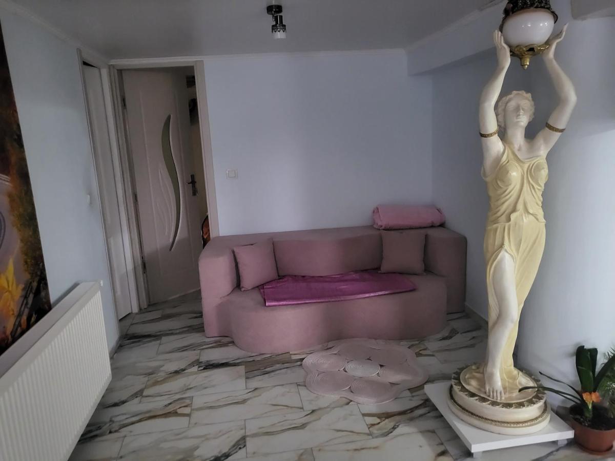 Apartament Cu Terasa Si Gratar Satu Mare Exterior foto